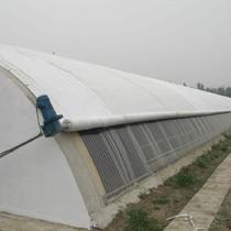 久久香蕉网官网