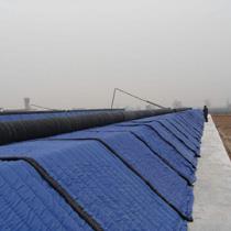 在线香蕉免费视频