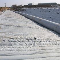 91香蕉看片视频